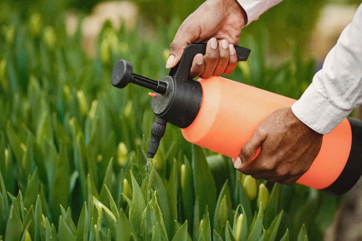 Fertilizers, Chemicals & Pesticides