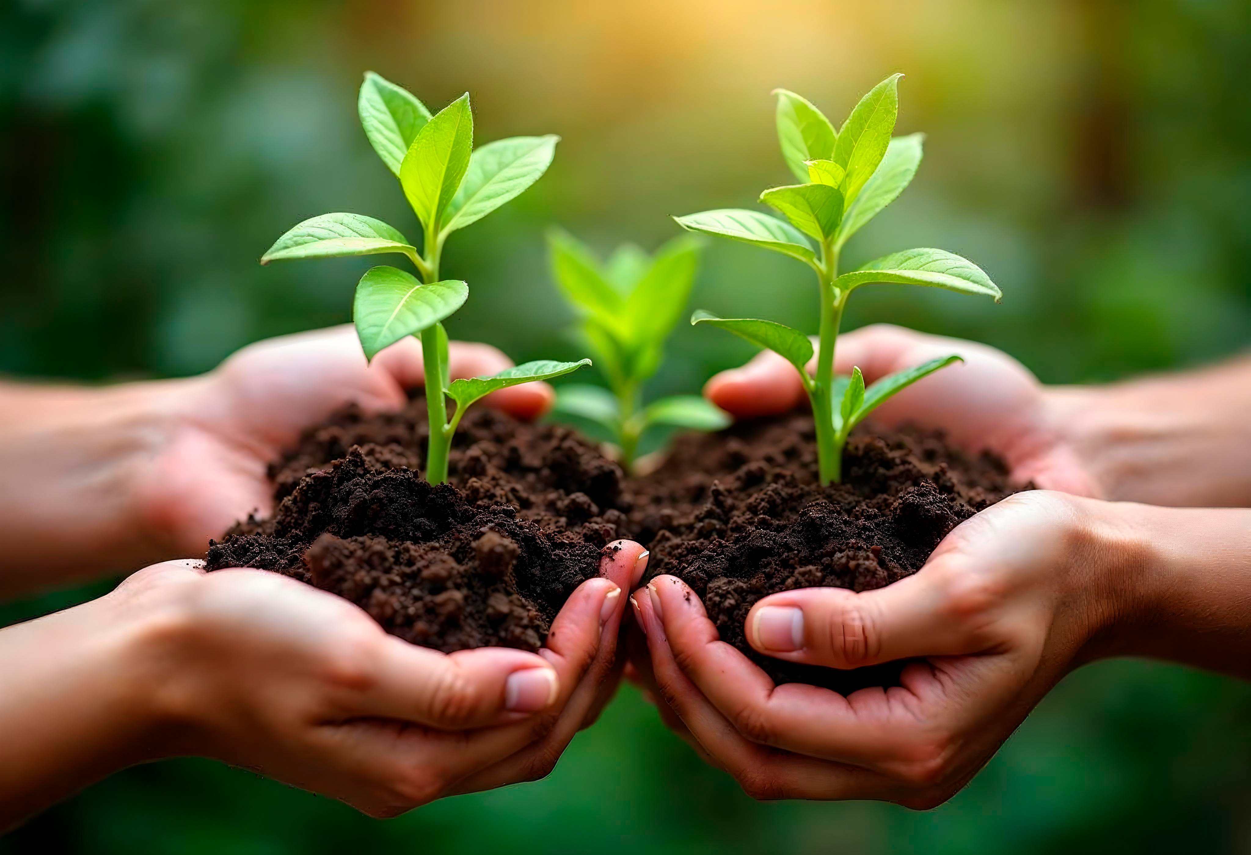 Sustainability