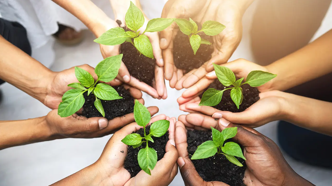 Sustainability at the Core